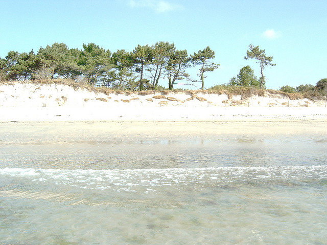 Plage de sable fin